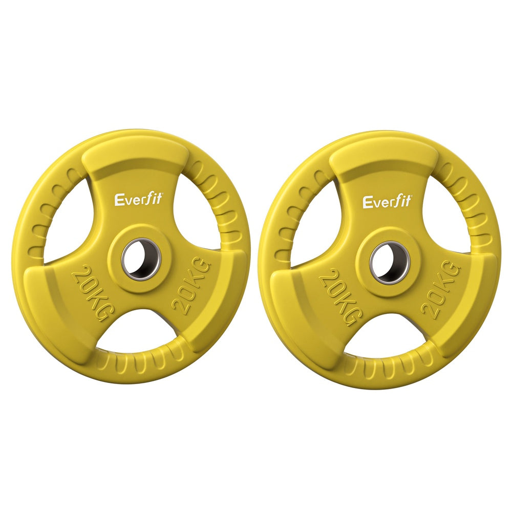 Everfit Weight Plates Olympic 20kgx2 Dumbbell Barbell Plate Weight Lifting Home Gym Yellow-2